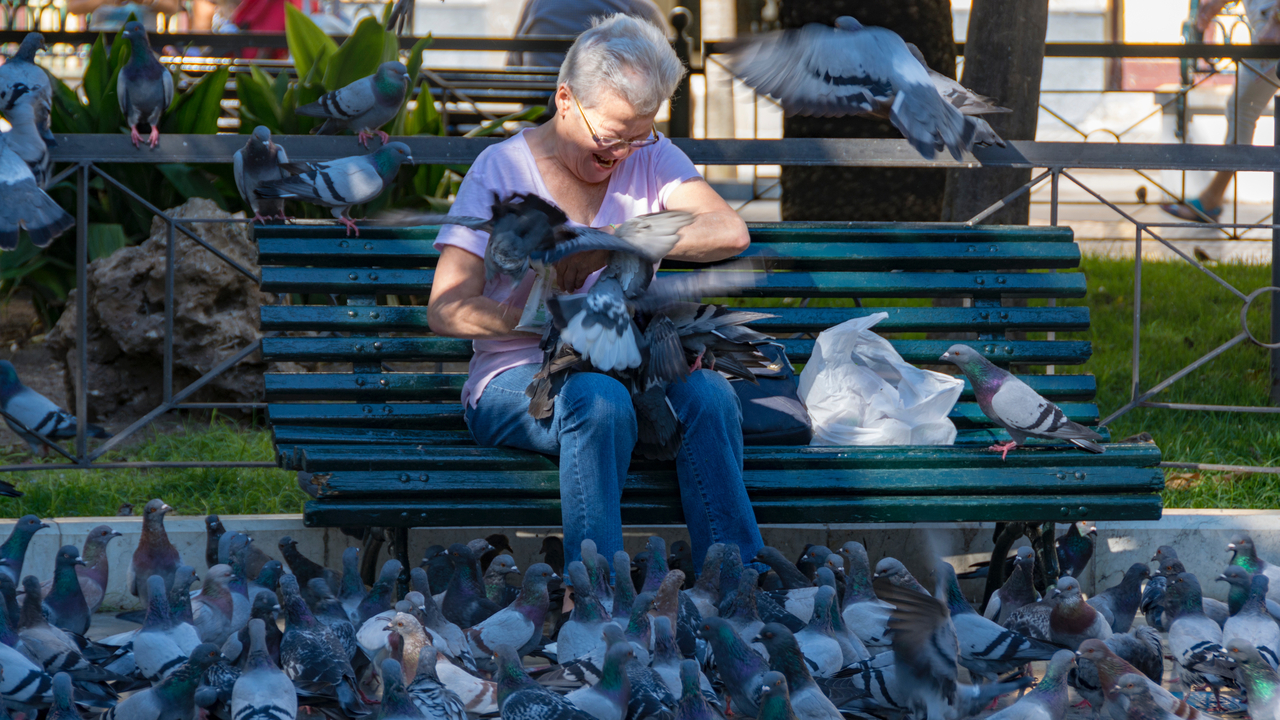 20171004 120839 , Cadiz, Andalusia, Spain